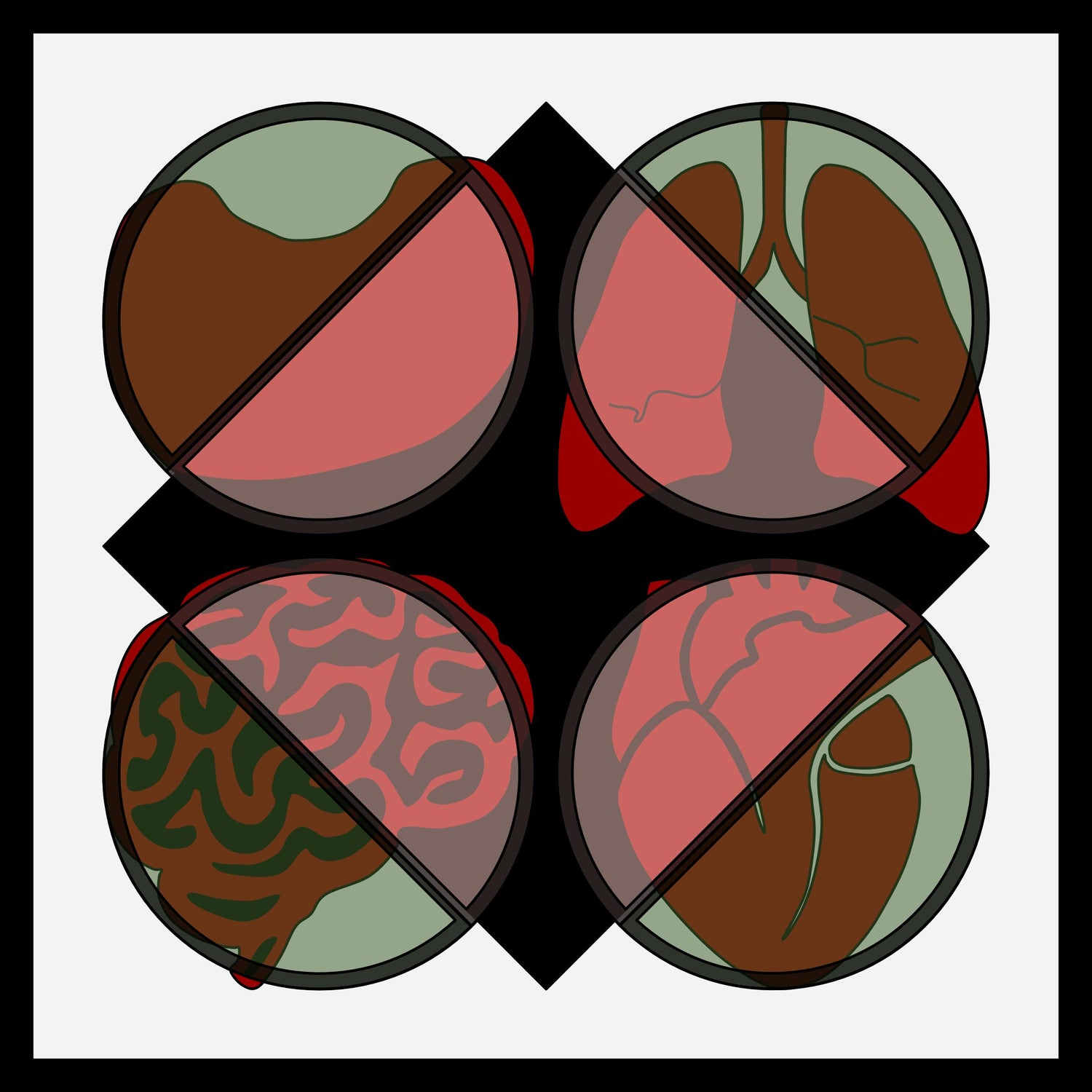 Immune Defense Game – Bacon Games